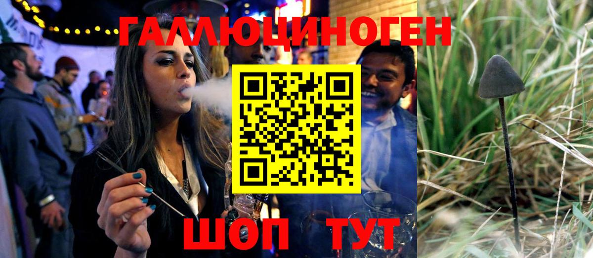 Миасс  Псилоцибиновые грибы Cubensis  Вход с VPN 