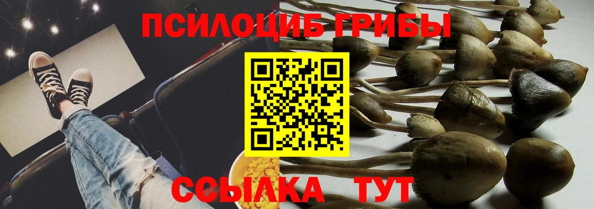 Галлюциногенные грибы Psilocybe Миасс